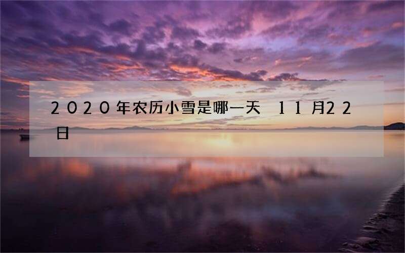 2020年农历小雪是哪一天 11月22日